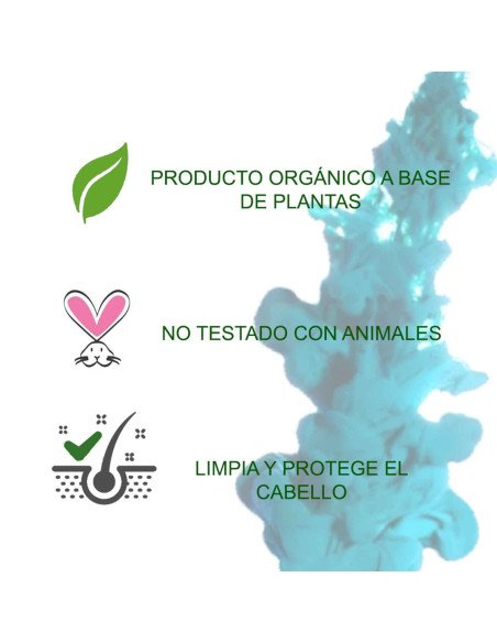AMLA TRATAMIENTO CAPILAR AYURVEDICO ECO