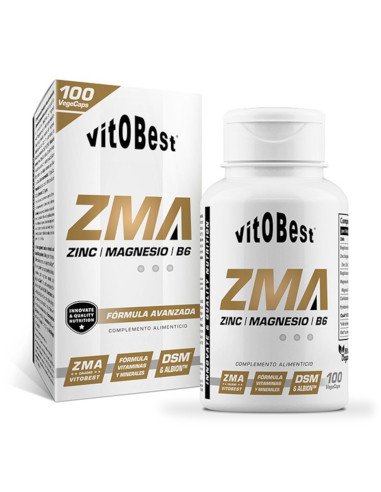 ZMA - ZINC, MAGNESIO Y VITAMINA B 100 caps