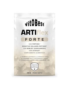 ARTIFLEX FORTE - 22 sobres X 15 g