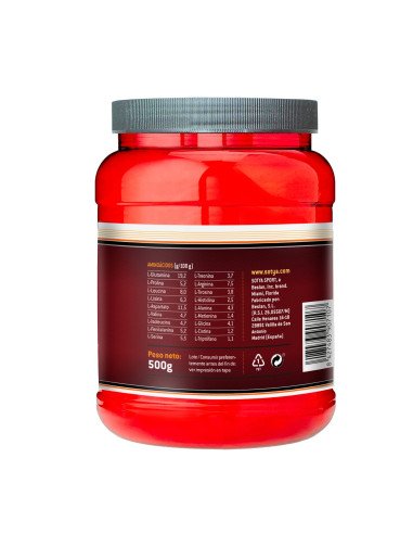 100% PROTEINA (Sabor Fresa) - 500 g