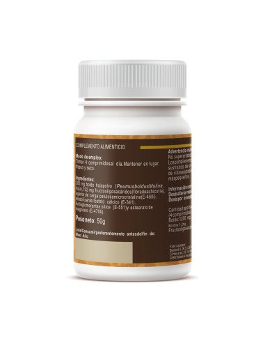 BOLDO 500 mg - 100 comp