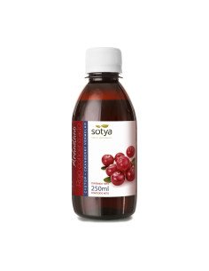 ARANDANO ROJO CONCENTRADO - 250 ml