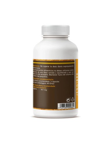 JENGIBRE 430 mg - 120 caps