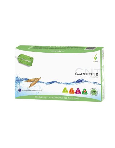 CARNITINE (L-Carnitina) - 20 ampollas