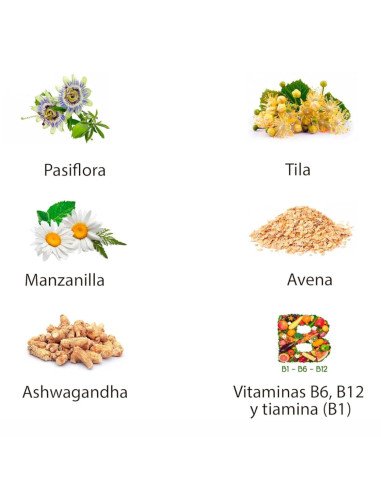 SOSEGAL PERFECT - 20 viales