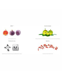 KEMOGRAS METABOLIC - 30 vcaps 2