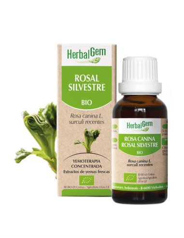 ROSAL SILVESTRE BIO - 15 ml