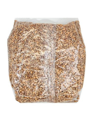 TRIGO EN GRANO ECOLOGICO - 500 g