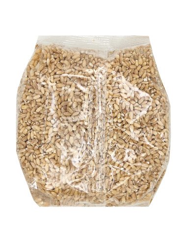 CEBADA EN GRANO ECOLOGICA - 500 g