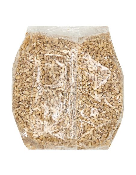 CEBADA EN GRANO ECOLOGICA - 500 g