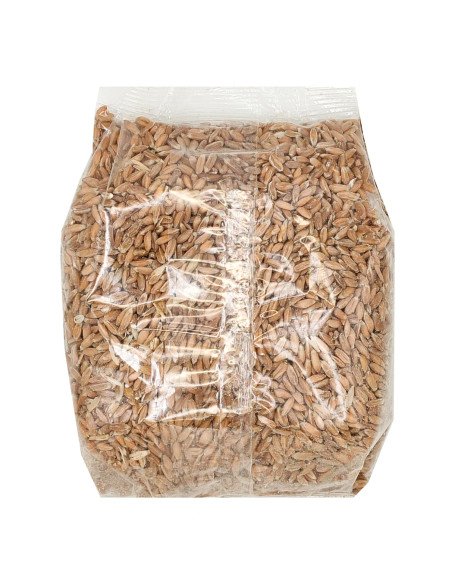 TRIGO ESPELTA EN GRANO ECOLOGICO - 500 g