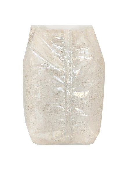 HARINA DE CENTENO INTEGRAL ECOLOGICA - 500 g