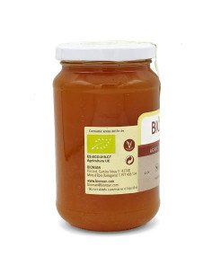SIROPE DE MAIZ ECOLOGICO - 500 g 2