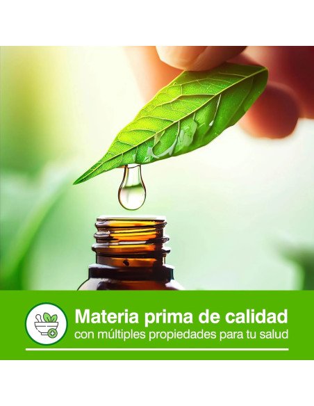 ACEITE ESENCIAL DE EUCALIPTO - 15 ml