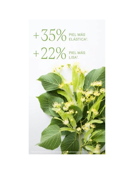 ACEITE DE ABEDUL PARA LA CELULITIS - 100 ml