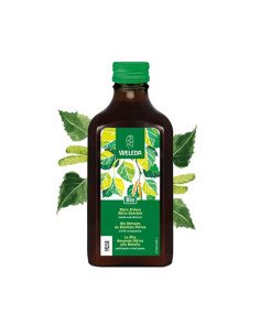 ZUMO DE ABEDUL - 200 ml