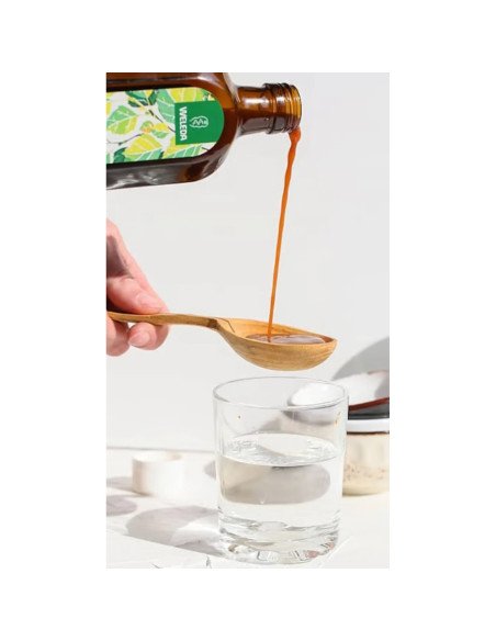 ZUMO DE ABEDUL - 200 ml