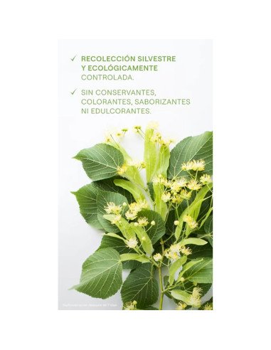 ZUMO DE ABEDUL - 200 ml