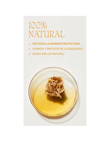 PROTECTOR LABIAL EVERON - 4.8 g