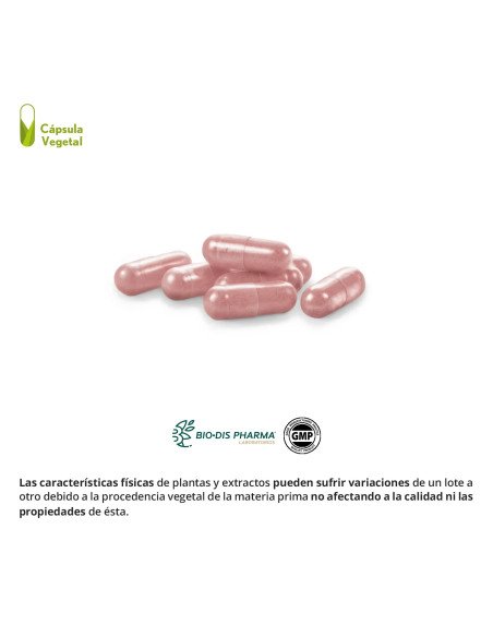 ARANDANO ROJO 12000 mg - 30 caps