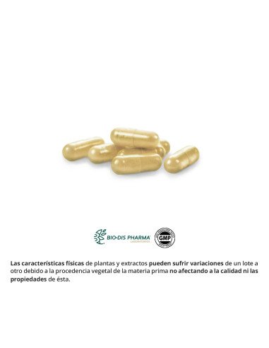 CARDO MARIANO COMPLEX 9.725 mg - 60 caps