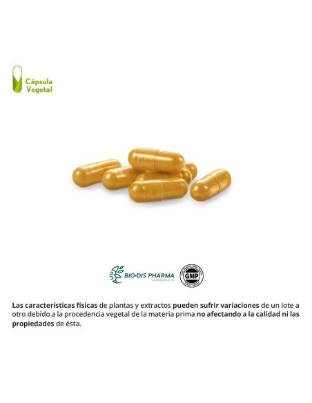 CURCUMA COMPLEX 10.000 mg - 60 caps