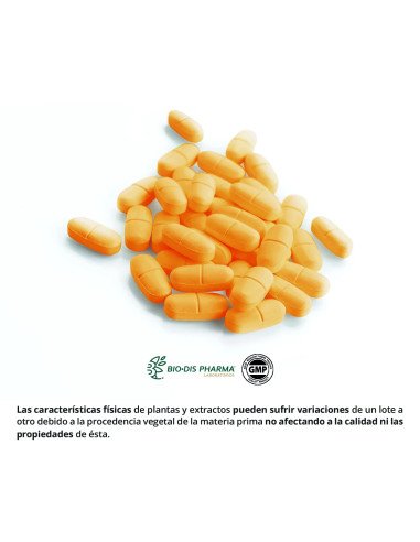 GLUCOSAMINA + CONDROITINA 1.000 mg - 60 comp
