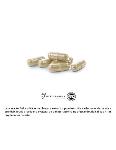 MACA 500 mg - 50 caps