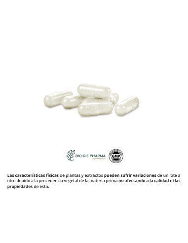 L-GLUTAMINA 400 mg - 50 cáps