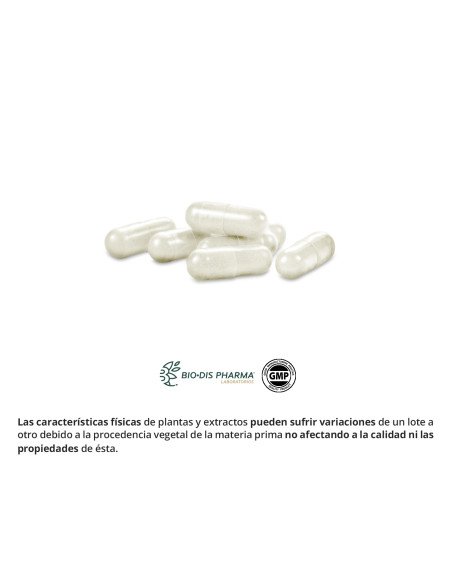 L-GLUTAMINA 400 mg - 50 cáps