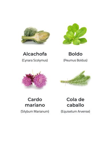 DRENACLEAN® COMPLEX 720 mg - 60 comp