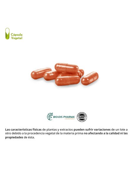 VISSIOSEN® COMPLEX 310 mg - 30 caps