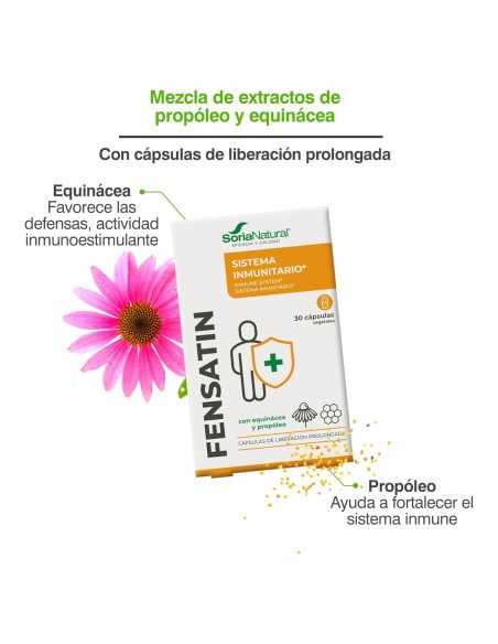 FENSATIN 13-C - 30 caps