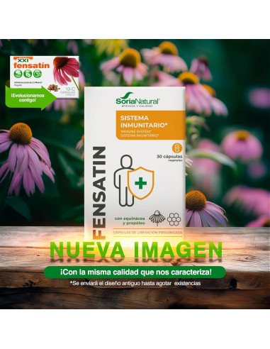 FENSATIN 13-C - 30 caps