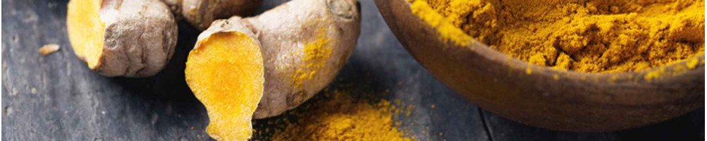 Curcuma / Productos de Fitoterapia / dietetikanatural.es