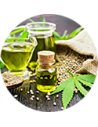 CBD - Cannabidiol