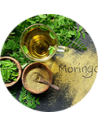 Moringa