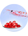 Aceite de Krill