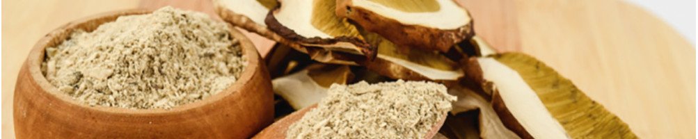 Maitake / Suplementos Naturales / dietetikanatural.es