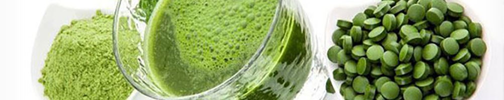 Chlorella / Suplementos Naturales / dietetikanatural.es