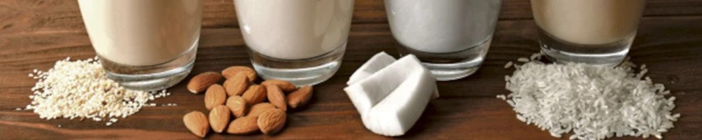 Comprar Bebidas Vegetales / Dietetika Natural