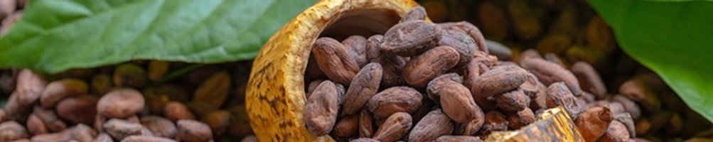 Comprar Cacao natural / Dietetika Natural