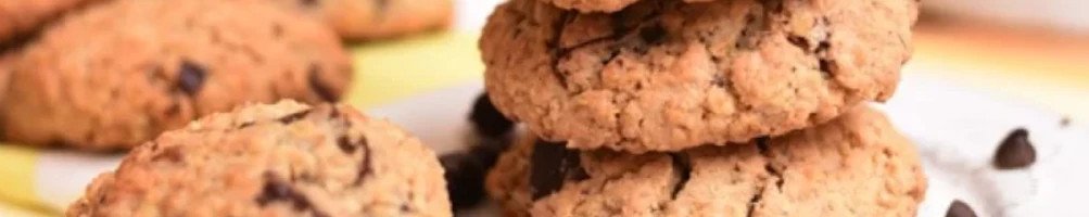 Comprar galletas saludables y ecologicas / Dietetika Natural