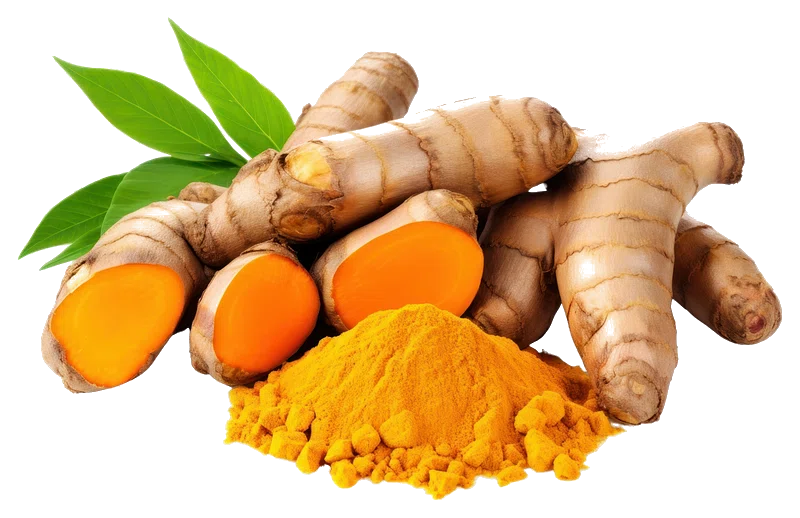 Curcuma