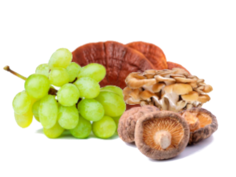 Uvas blancas, lactoferrina, maitake, shiitake y reishi.