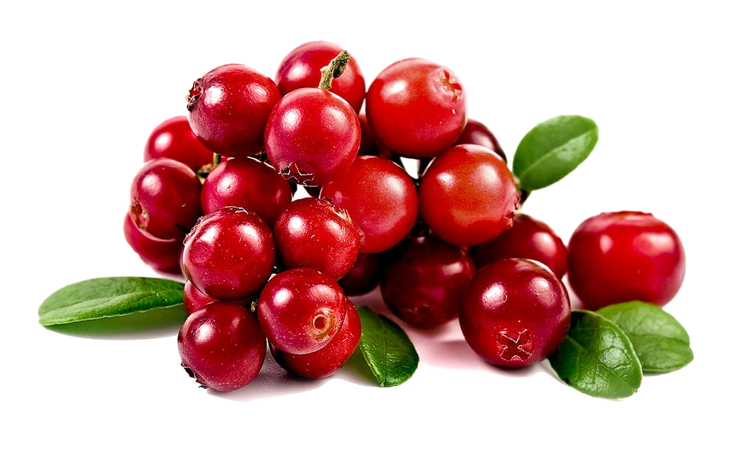 arandano rojo