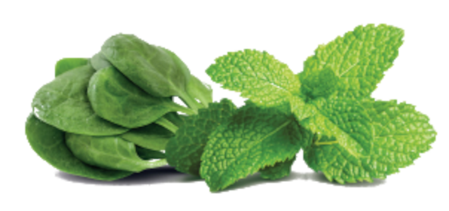 espinacas y menta