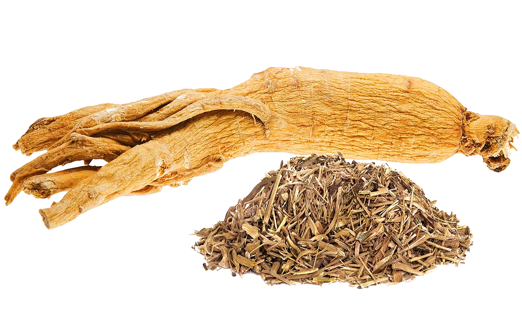 GINSENG