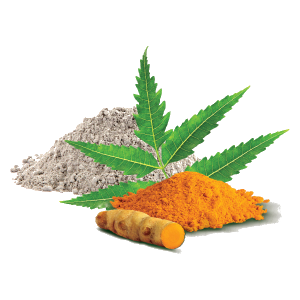 neem, curcuma y tierra de batan