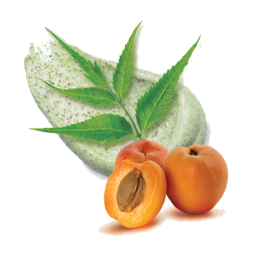 neem y albaricoque